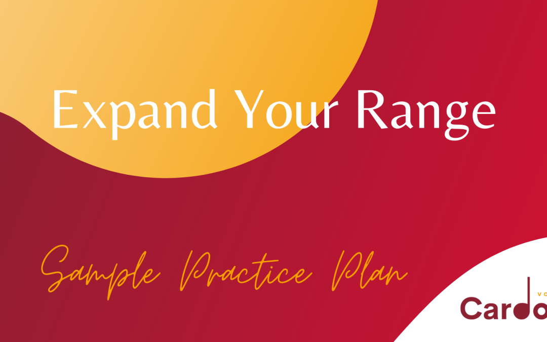Sample Practice Plan #3